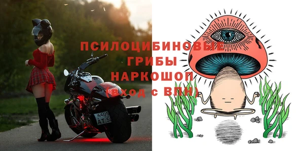 эйфоретик Абинск