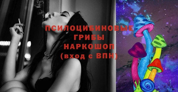 прущая мука Алзамай