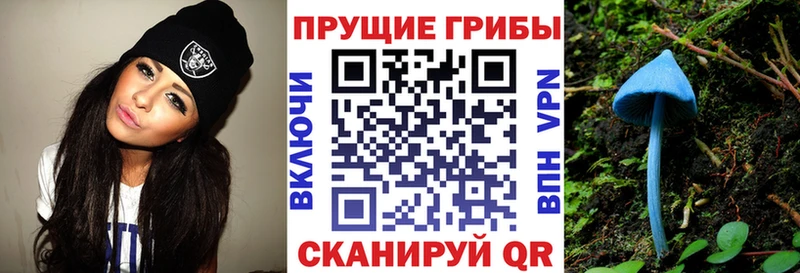Псилоцибиновые грибы GOLDEN TEACHER магазин Сокол