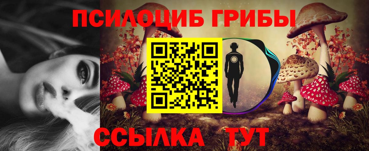 Псилоцибиновые грибы Psilocybine cubensis Сокол