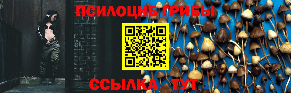Псилоцибиновые грибы Magic Shrooms  Вход с VPN  Галлюциногенные грибы мухоморы  Сокол 